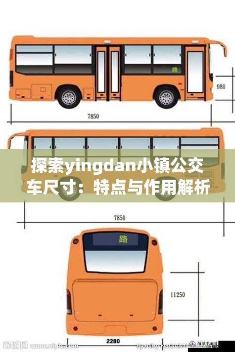 探索yingdan小镇公交车尺寸：特点与作用解析