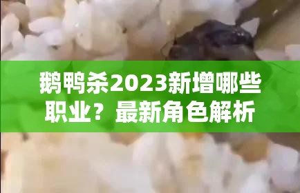 鹅鸭杀2023新增哪些职业？最新角色解析