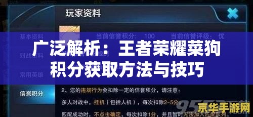 广泛解析：王者荣耀菜狗积分获取方法与技巧