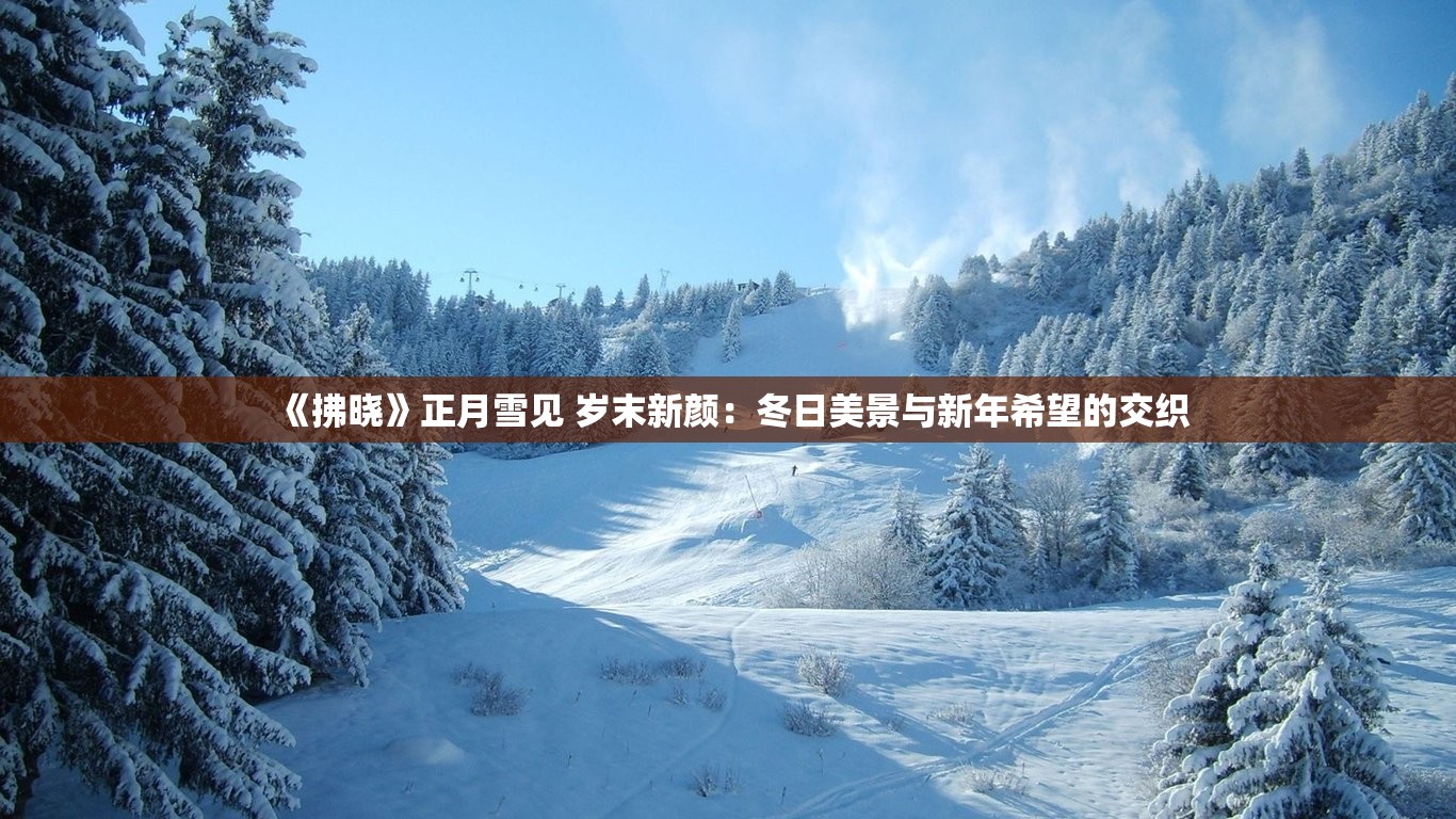 《拂晓》正月雪见 岁末新颜：冬日美景与新年希望的交织