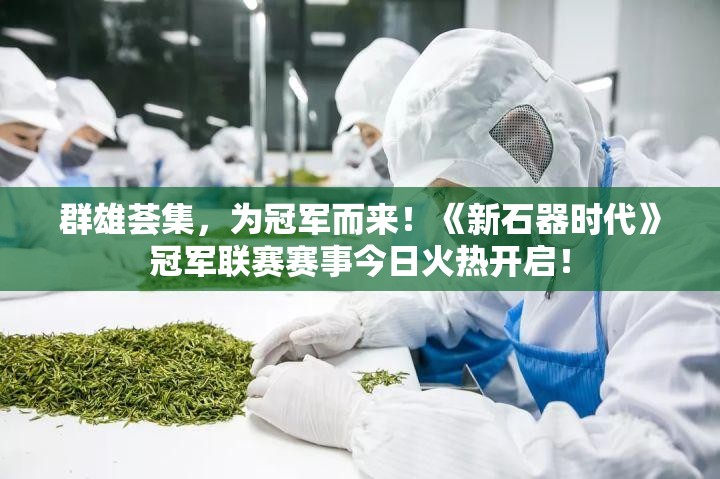 群雄荟集，为冠军而来！《新石器时代》冠军联赛赛事今日火热开启！