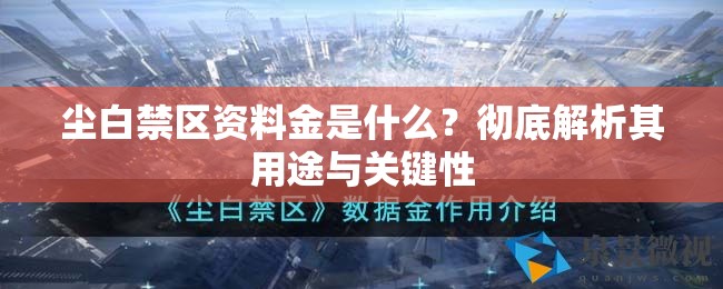 尘白禁区资料金是什么？彻底解析其用途与关键性