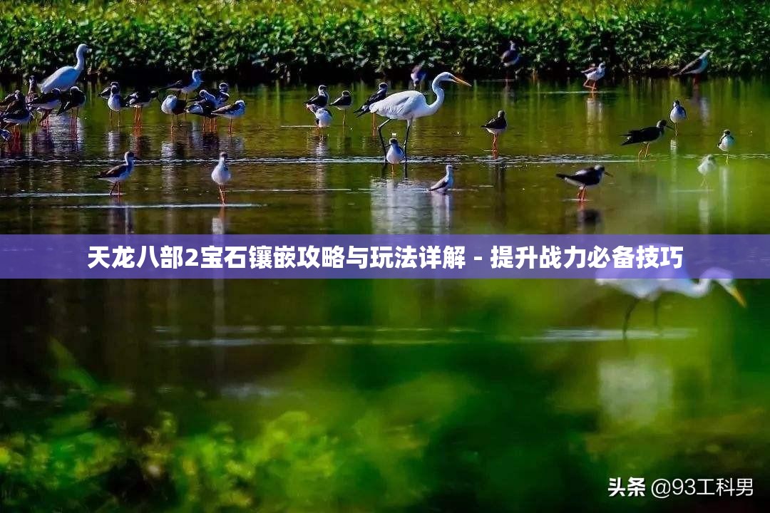 天龙八部2宝石镶嵌攻略与玩法详解 - 提升战力必备技巧